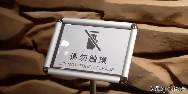 公主代理人续篇：第二章