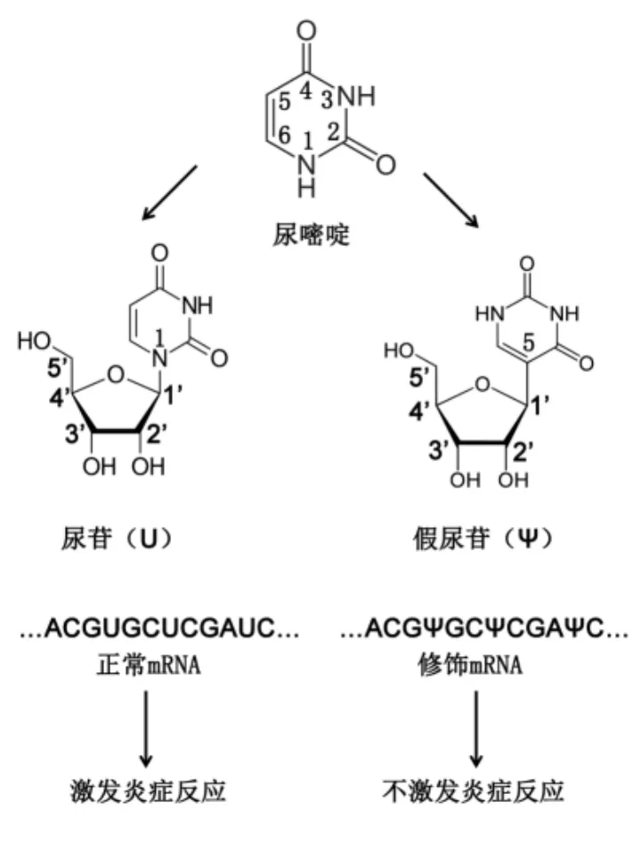 全城热恋