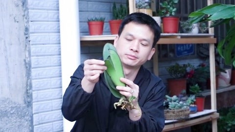 内裤超人幸福节大冒险