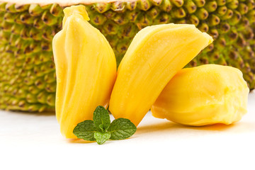 公主代理人续篇：第一章