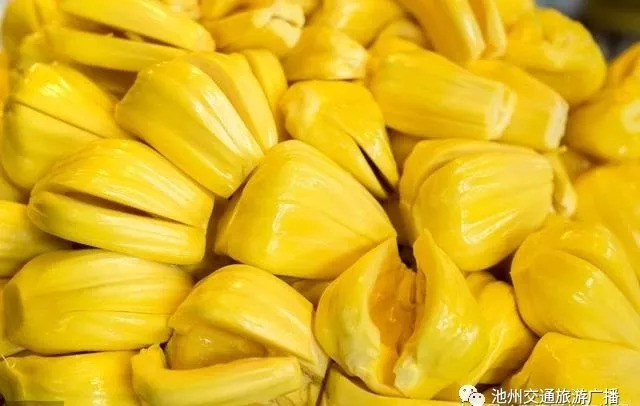 养鬼吃人2：魔界追魂