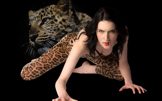 写给往昔的未来